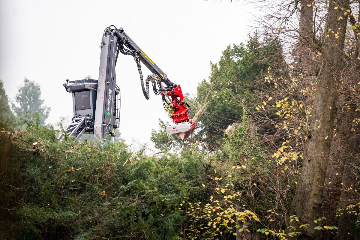 Branching Out Across the UK