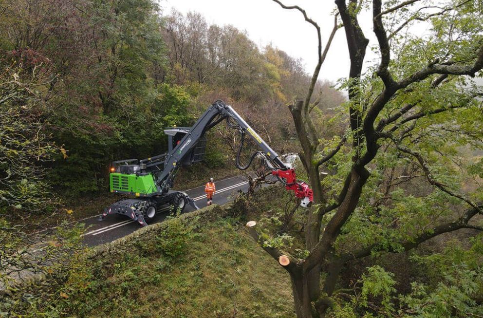 Tree Handlers | Blue Group